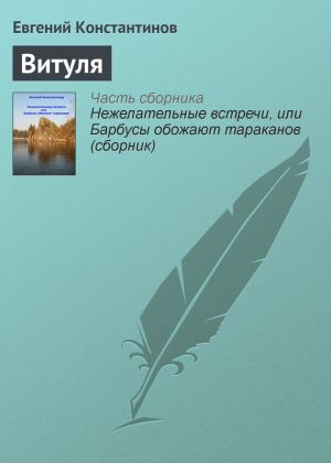 обложка книги Витуля автора Евгений Константинов