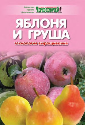 обложка книги Яблоня и груша. Технология выращивания автора А. Панкратова