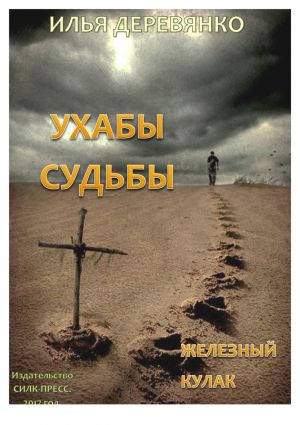 обложка книги Железный кулак автора Илья Деревянко