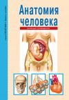 Книга Анатомия человека автора Сергей Афонькин