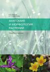 Книга Анатомия и морфология растений автора И. Ямских