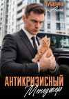 Книга Антикризисный менеджер автора Анна Зубавина