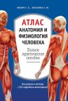 Книга Атлас: анатомия и физиология человека. Полное практическое пособие автора Габриэль Билич