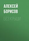 Книга Без крыши автора Алексей Борисов