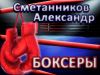 Книга Боксёры автора Александр Сметанников