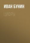 Книга Цифры автора Иван Бунин