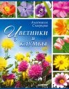 Книга Цветники и клумбы автора Анастасия Скворцова