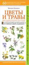Книга Цветы и травы. Мир удивительных растений автора Михаил Куценко