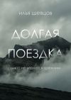 Книга Долгая поездка автора Илья Шевцов