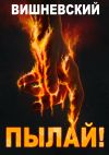 Книга Холодное пламя: Пылай! автора Сергей Вишневский