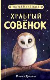 Книга Храбрый совёнок автора Рэйчел Дэлахэй