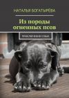 Книга Из породы огненных псов. Приключения собак автора Наталья Богатырёва