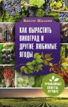 Книга Как вырастить виноград и другие любимые ягоды автора Виктор Жвакин