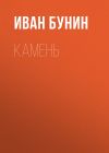 Книга Камень автора Иван Бунин