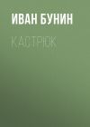 Книга Кастрюк автора Иван Бунин