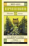 Книга Кладовая солнца автора Владислав Бахревский