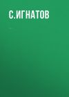 Книга Комментарий к Федеральному закону от 12 июня 2002 г. № 67-ФЗ «Об основных гарантиях избирательных прав и права на участие в референдуме граждан Российской Федерации» (постатейный) автора С. Игнатов