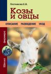 Книга Козы и овцы автора Елена Плотникова