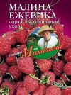 Книга Малина, ежевика. Сорта, выращивание, уход автора Николай Звонарев
