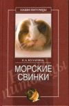 Книга Морские свинки автора Кристина Кулагина