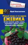 Книга Мощный лекарь от ста недугов. Ежевика. Лечение онкологии, диабета, артрита, атеросклероза, варикоза, гастрита, заболеваний печени, ревматизма… автора Юрий Константинов