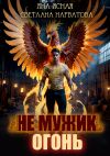 Книга Не мужик – огонь! автора Яна Ясная