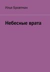 Книга Небесные врата автора Илья Бровтман