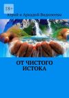 Книга От чистого истока автора Юрий и Аркадий Видинеевы