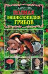 Книга Полная энциклопедия грибов автора Татьяна Лагутина