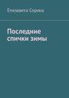 Книга Последние спички зимы автора Елизавета Сорока