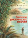 Книга Приключения доисторического мальчика автора Эрнст Д'Эрвильи