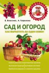 Книга Сад и огород. Как вырастить за один сезон автора Елена Власенко