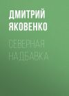 Книга Северная надбавка автора Александр Левинский