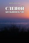 Книга Слепой. Большой куш автора Андрей Воронин