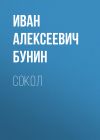 Книга Сокол автора Иван Бунин
