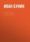 Книга Сосны автора Иван Бунин