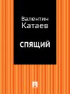 Книга Спящий автора Валентин Катаев