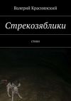 Книга Стрекозяблики автора Валерий Краснянский
