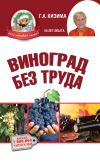 Книга Виноград без труда автора Галина Кизима