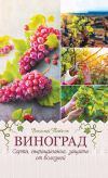 Книга Виноград. Сорта, выращивание, защита от болезней автора Василий Тыбель