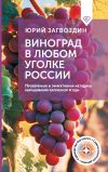 Книга Виноград в любом уголке России. Проверенная и эффективная методика выращивания капризной ягоды автора Юрий Загвоздин