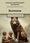 Книга Волчонок. Сын той, что спасла Рим автора Михаил Шильман