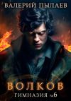 Обложка: Волков. Гимназия №6