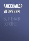 Книга Встреча в воронке автора Александр Игоревич