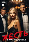 Книга Жесть в командировке автора Алекс Стар