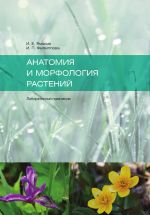 Скачать книгу Анатомия и морфология растений автора И. Ямских