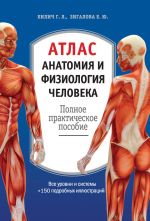 Скачать книгу Атлас: анатомия и физиология человека. Полное практическое пособие автора Габриэль Билич