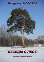 Скачать книгу Беседы о лесе. Рассказы лесничего автора Владимир Морозов