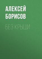 Скачать книгу Без крыши автора Алексей Борисов