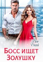 Скачать книгу Босс ищет Золушку автора Рин Скай
